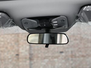 2020I(lng) 390T  ηŵ