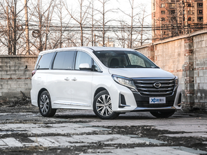 2020I(lng) 390T F w^