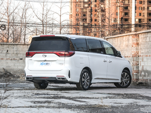 2020I(lng) 390T F w^