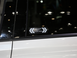 2020I(lng) 390T F (x)(ji)^