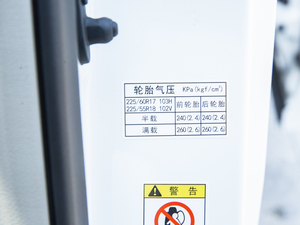 2020款领航款 390T 豪华版 其它