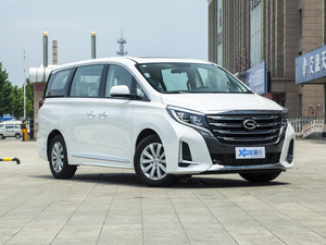 2020款领航款 390T 豪华版 整体外观