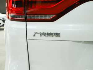2020款390T 尊贵版 细节外观