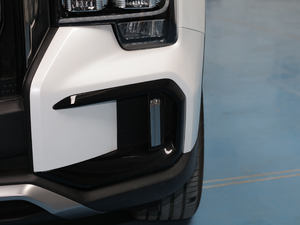 2020S 390T A(lin) ǰF