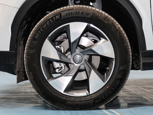 2020S 390T A(lin) ݆Ȧ