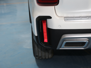 2020S 390T (q)A(lin) (ji)^