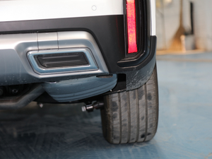 2020S 390T (q)A(lin) (ji)^