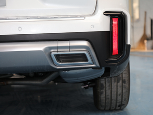 2020S 390T (q)A(lin) (ji)^