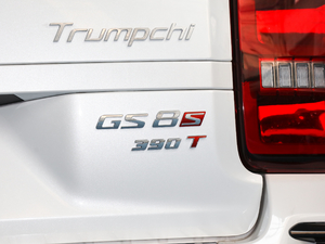 2020S 390T (q)A(lin) (ji)^