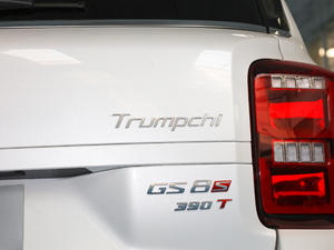 2020S 390T (q)A(lin) (ji)^