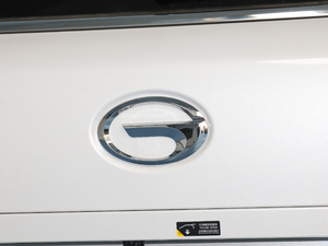 2020S 390T (q)A(lin) (ji)^