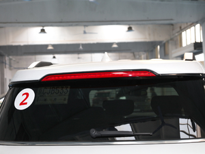 2020S 390T (q)A(lin) (ji)^