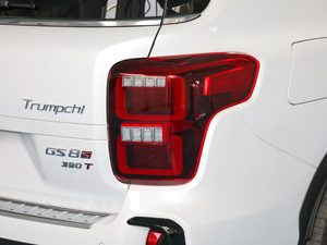 2020S 390T (q)A(lin) (ji)^