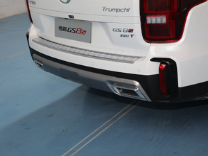 2020S 390T (q)A(lin) (ji)^