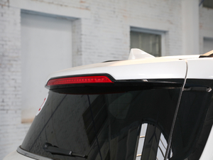 2020S 390T (q)A(lin) (ji)^