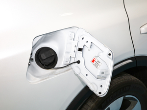 2020S 390T (q)A(lin) (ji)^