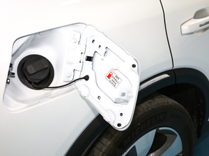 2020S 390T (q)A(lin) (ji)^