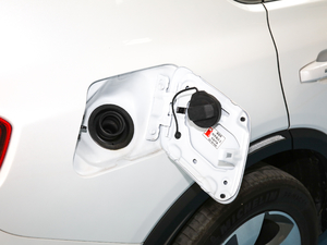 2020S 390T A(lin) w