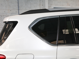 2020S 390T A(lin) (ji)^