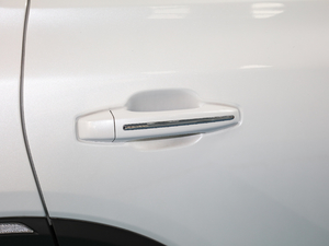 2020S 390T A(lin) (ji)^