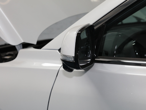 2020S 390T A(lin) (ji)^