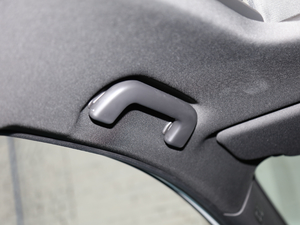 2020S 390T (q)A(lin) g