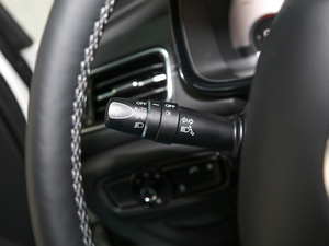 2020S 390T (q)A(lin) п؅^(q)