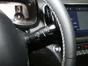 2020S 390T (q)A(lin) п؅^(q)