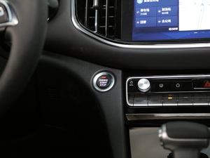 2020S 390T (q)A(lin) п؅^(q)