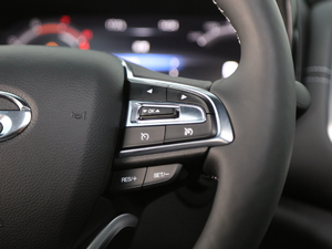 2020S 390T (q)A(lin) п؅^(q)