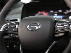 2020S 390T (q)A(lin) п؅^(q)