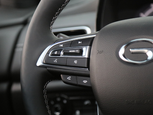 2020S 390T (q)A(lin) {(dio)(ji)