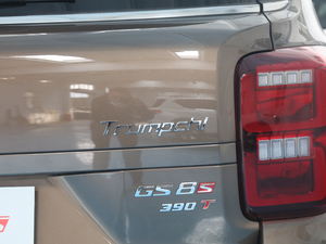 2020S 390T (q)A(lin) (x)(ji)^