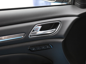 2020S 390T (q)A(lin) g