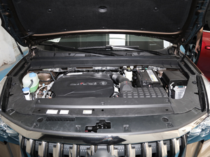 2020S 390T (q)A(lin) l(f)(dng)C(j)