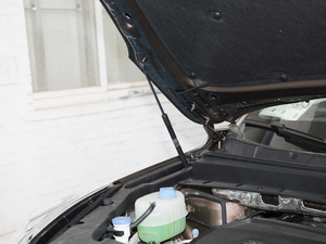 2020S 390T (q)A(lin) 