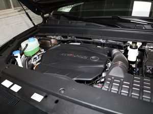 2020S 390T (q)A(lin) 