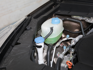 2020S 390T (q)A(lin) 