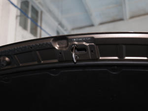 2020S 390T (q)A(lin) 