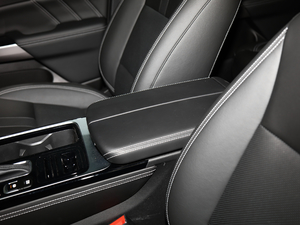 2020S 390T (q)A(lin) 