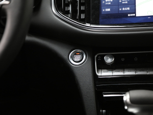 2020S 390T (q)A(lin) п؅^(q)