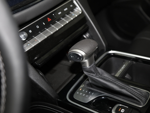 2020S 390T (q)A(lin) п؅^(q)