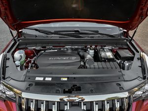 2020S 390T (q)F l(f)әC