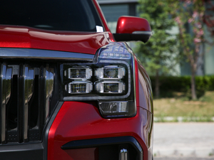 2020S 390T (q)A(lin) 