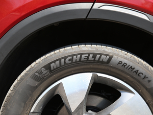 2020S 390T A ݆̥Ʒ