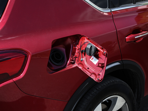 2020S 390T (q)A(lin) w