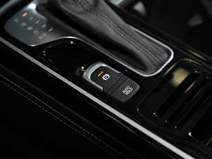 2020S 390T A v܇Ƅ