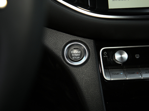 2020S 390T (q)A(lin) п؅^(q)