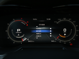 2020S 390T (q)A(lin) 