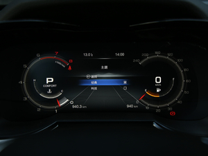 2020S 390T (q)A(lin) 